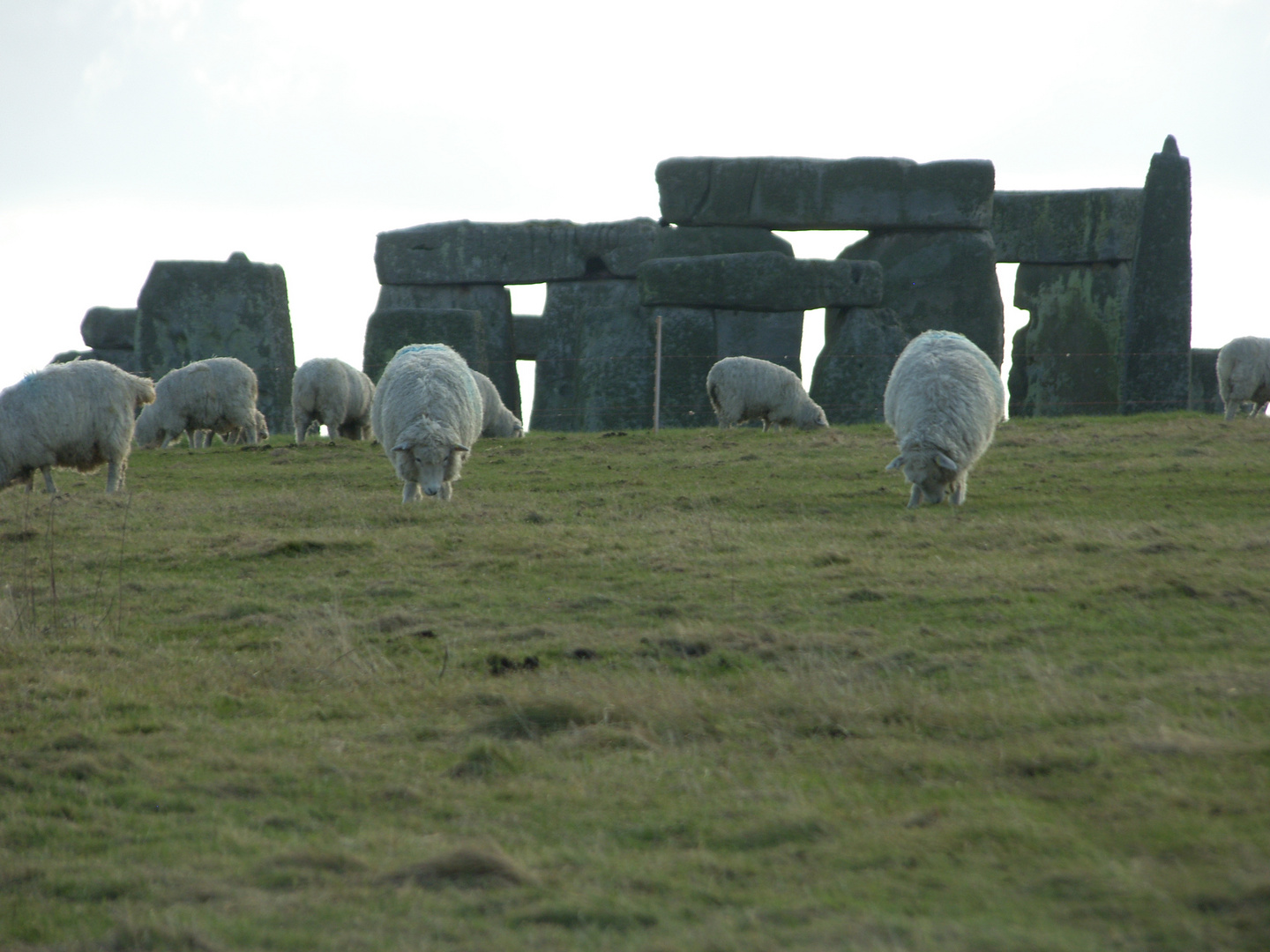 Selfie with stonehenge