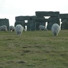 Selfie with stonehenge