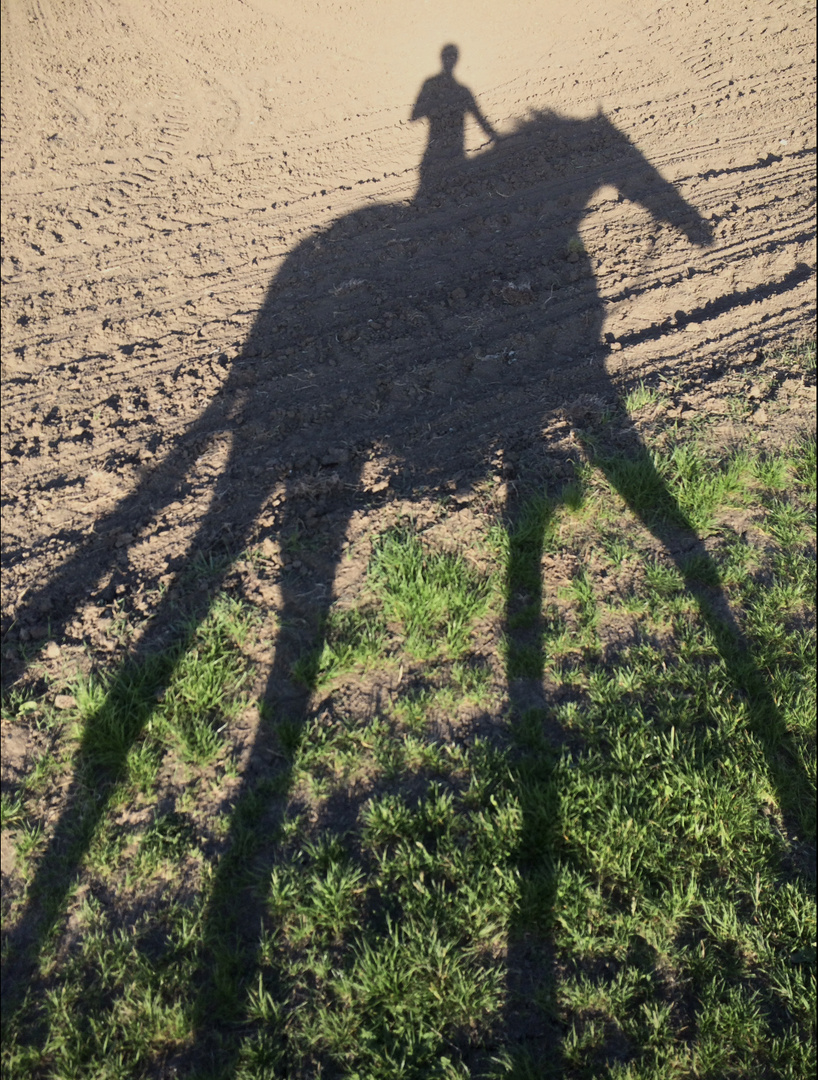 Selfie zu Pferde - Edition Dali