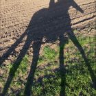 Selfie zu Pferde - Edition Dali
