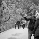 Selfies in Autumn