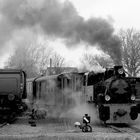 Selfkantbahn mit Dampflokomotive Schwarzach