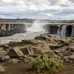 Selfoss