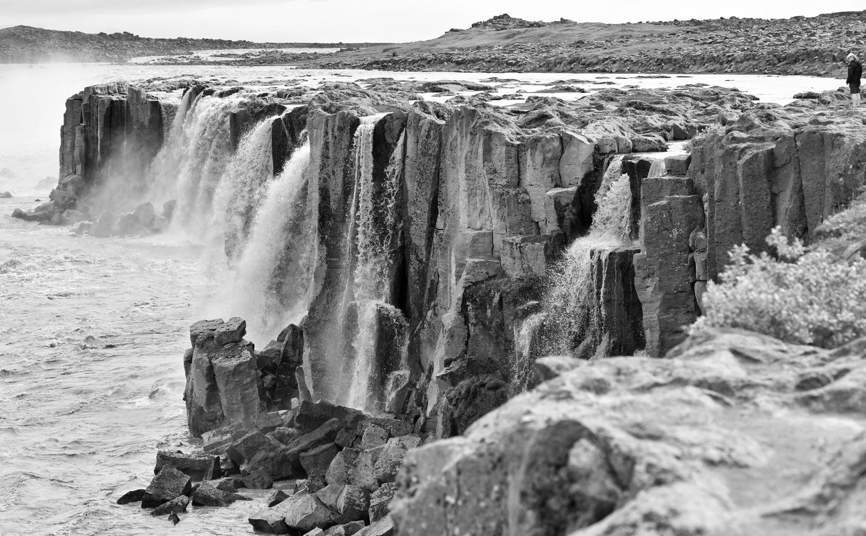 Selfoss S/W