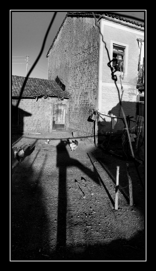 selfportrait-shadowstand