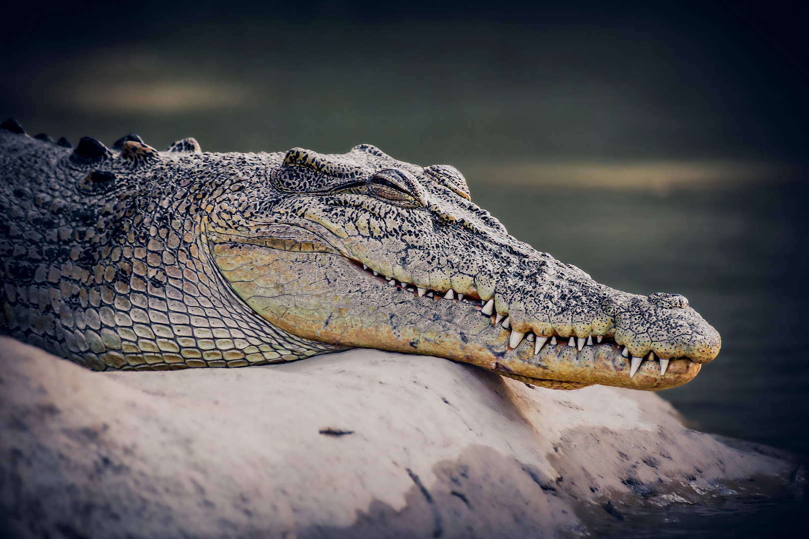 Selig lächelnd Foto & Bild world, dokumentation, outdoor Bilder auf