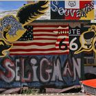 seligman 20