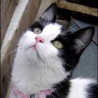 User Profile Photo