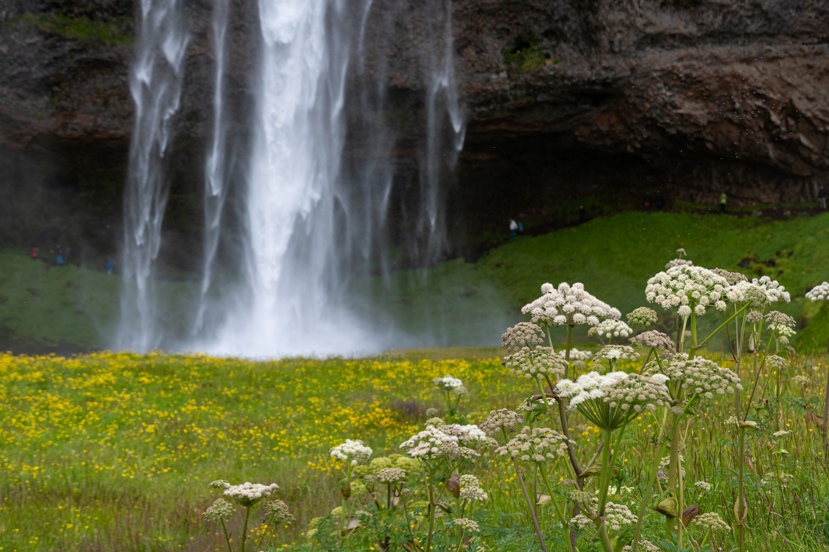 Seljalandsfoss