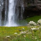 Seljalandsfoss