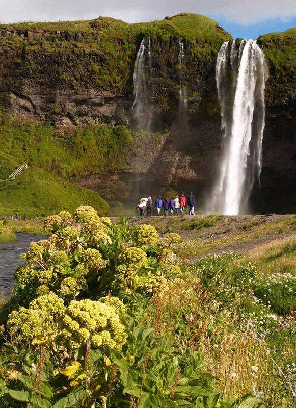 Seljalandsfoss