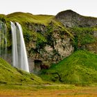 Seljalandsfoss (3)