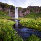 Seljalandsfoss