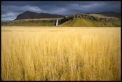 Seljalandsfoss