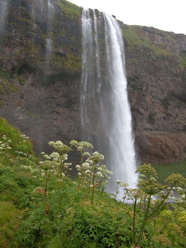 Seljalandsfoss