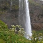 Seljalandsfoss