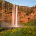 Seljalandsfoss