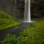 Seljalandsfoss