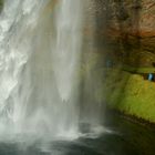 Seljalandsfoss