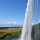 seljalandsfoss II