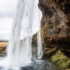 Seljalandsfoss (Island)