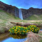 Seljandsfoss