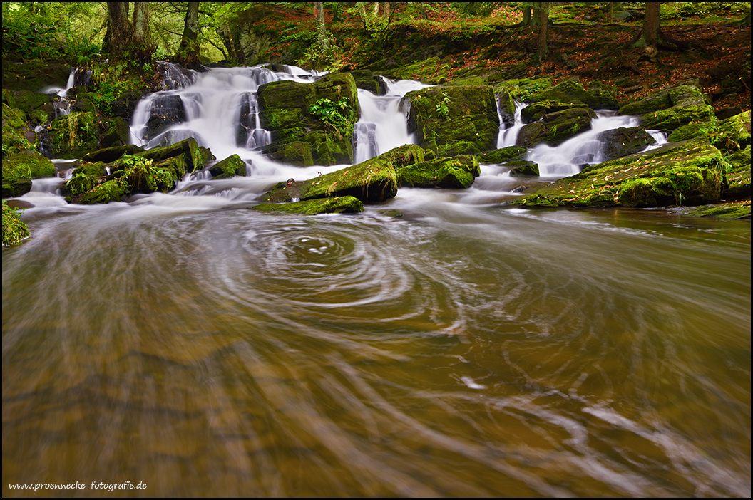 ~ Selke Wasserfall ~