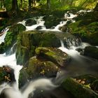 Selke-Wasserfall, Harz