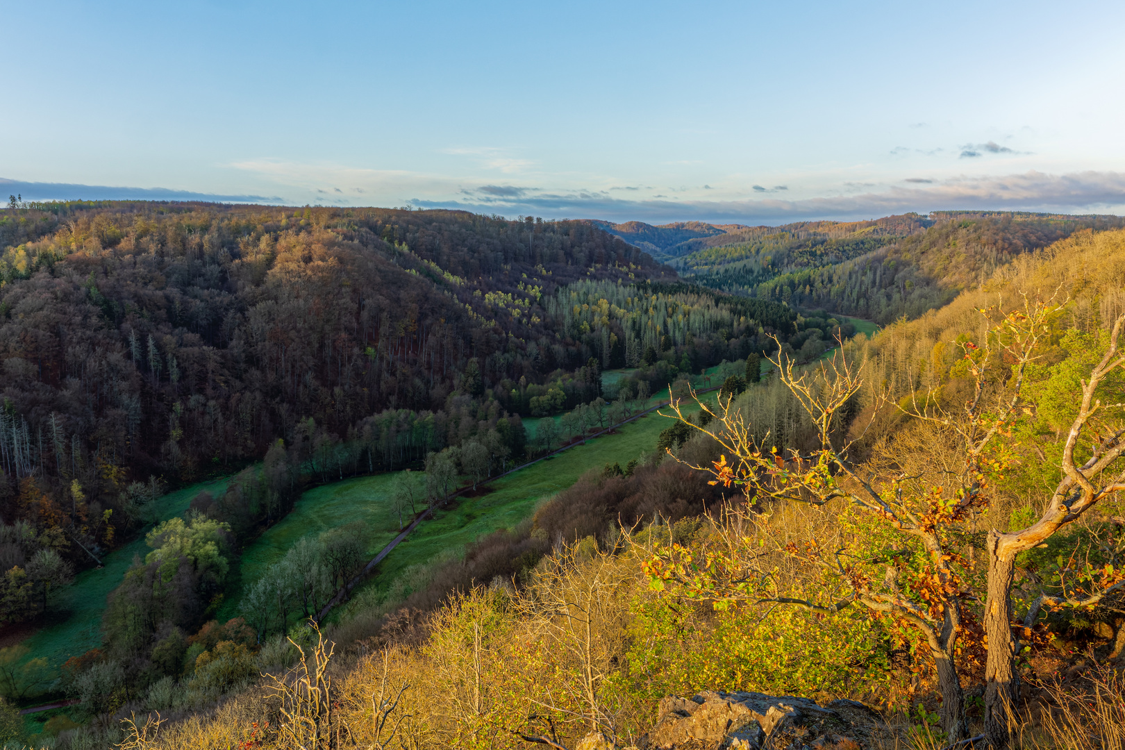 Selkeblick