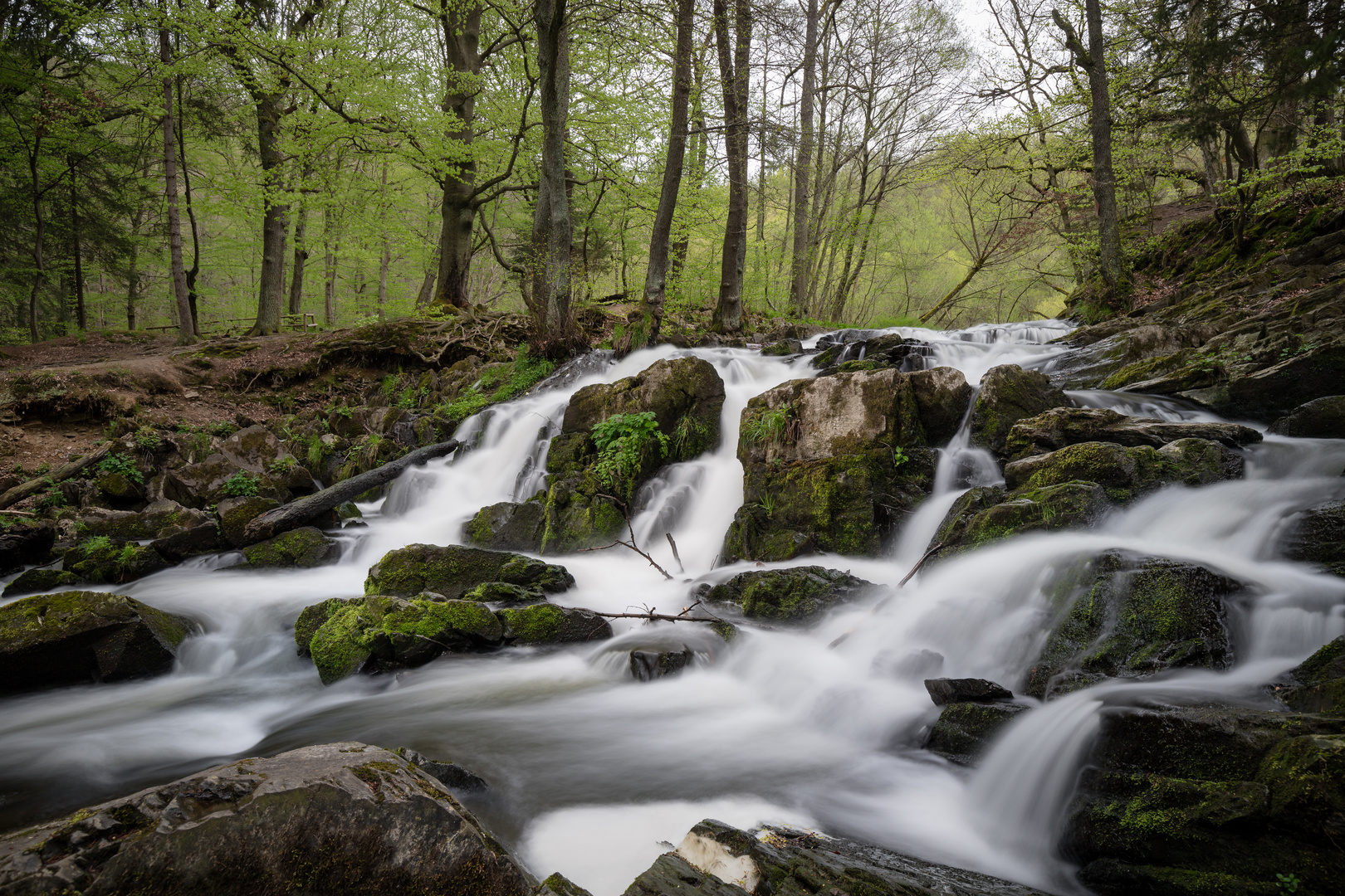 Selkefälle bei Alexisbad