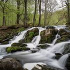 Selkefälle bei Alexisbad