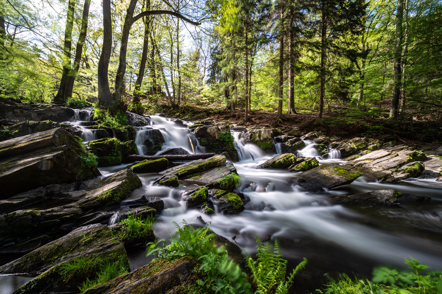 Selkefälle im Harz