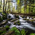 Selkefälle im Harz