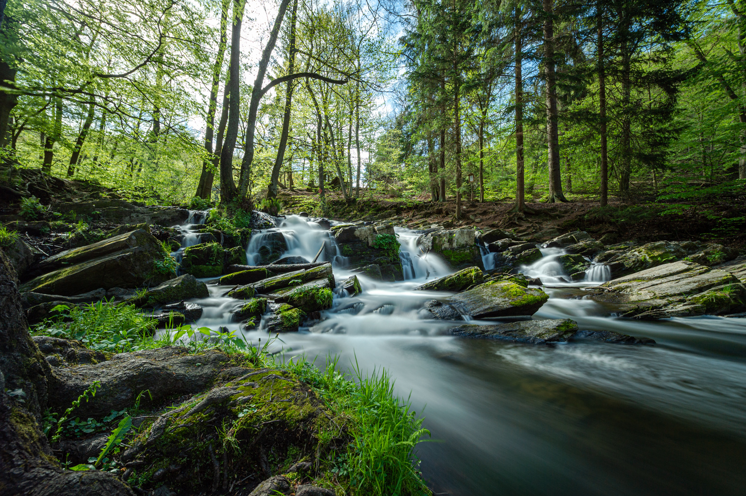 Selkefälle im Harz