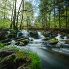 Selkefälle im Harz