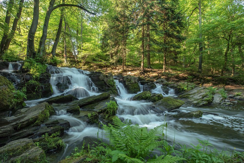 Selkefälle/Harz