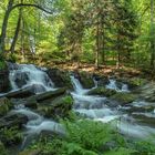 Selkefälle/Harz