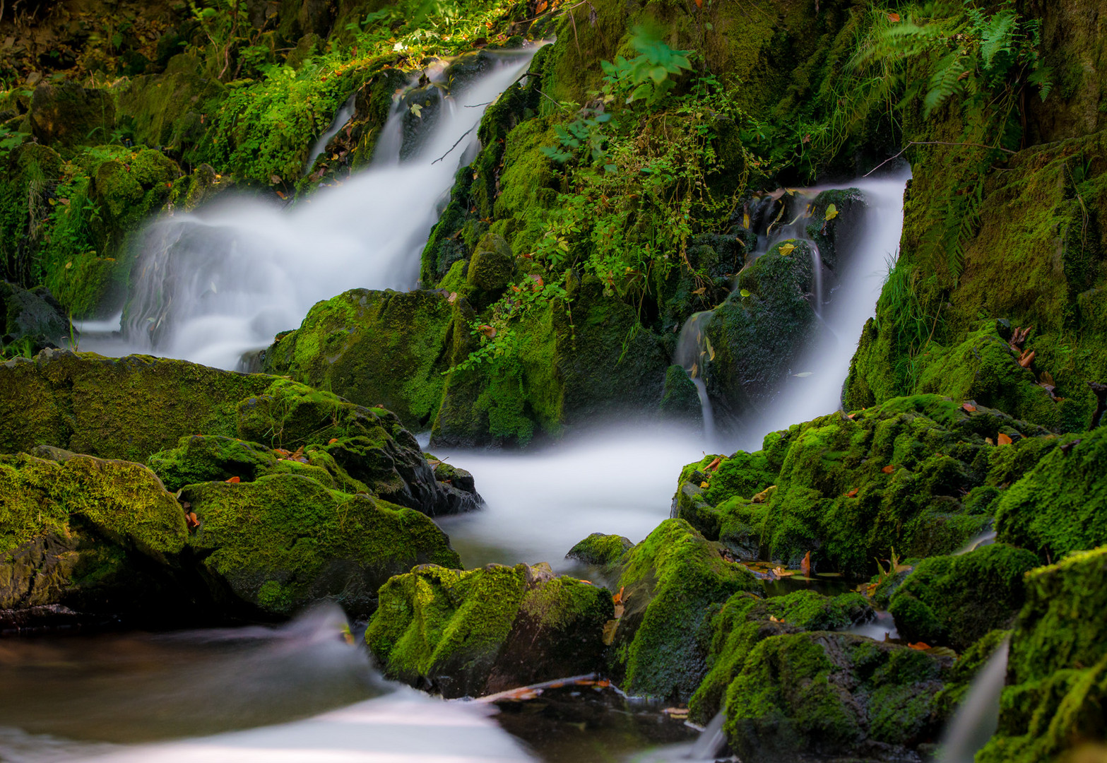 Selkefall 2 // Harz