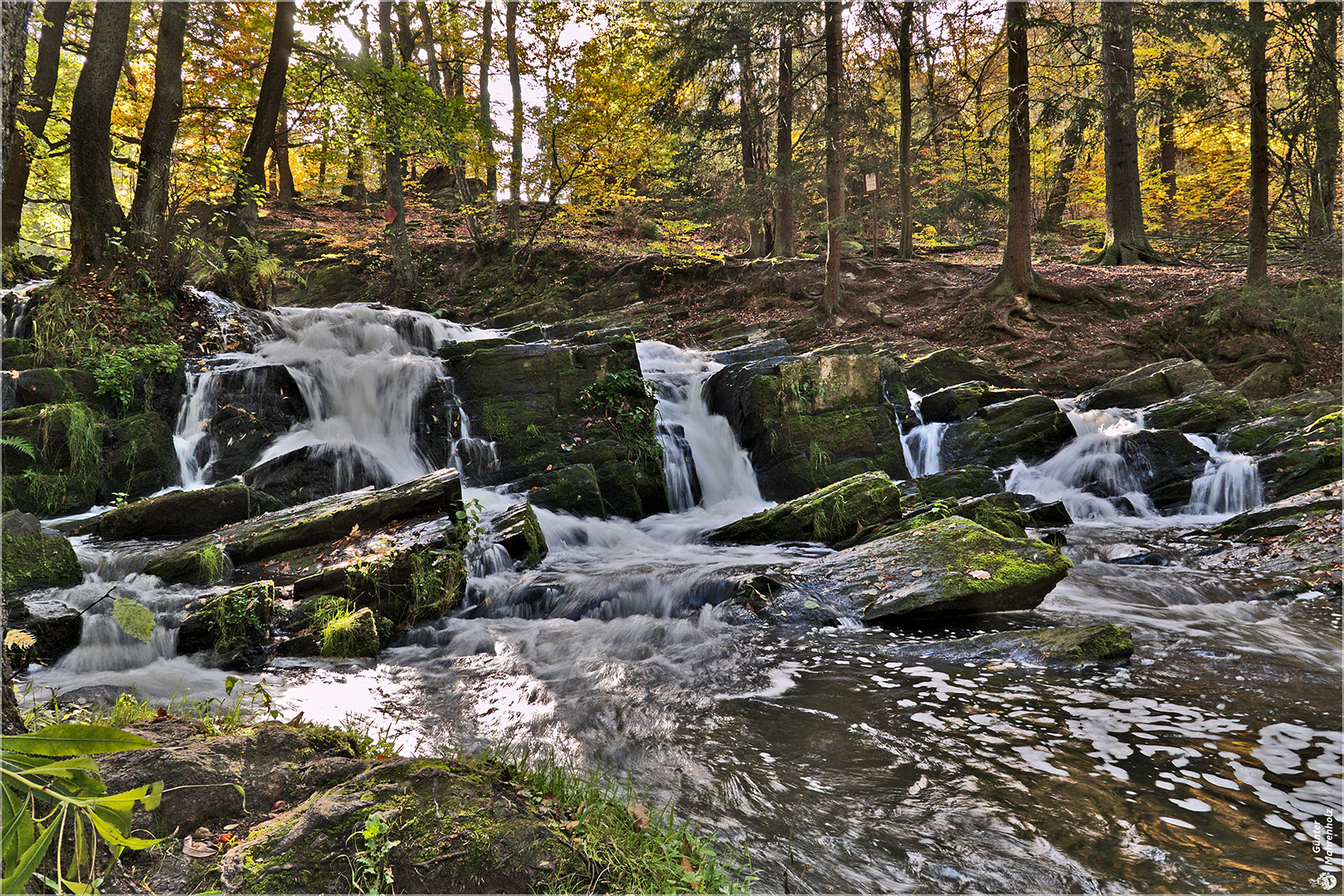 Selkefall bei Alexisbad