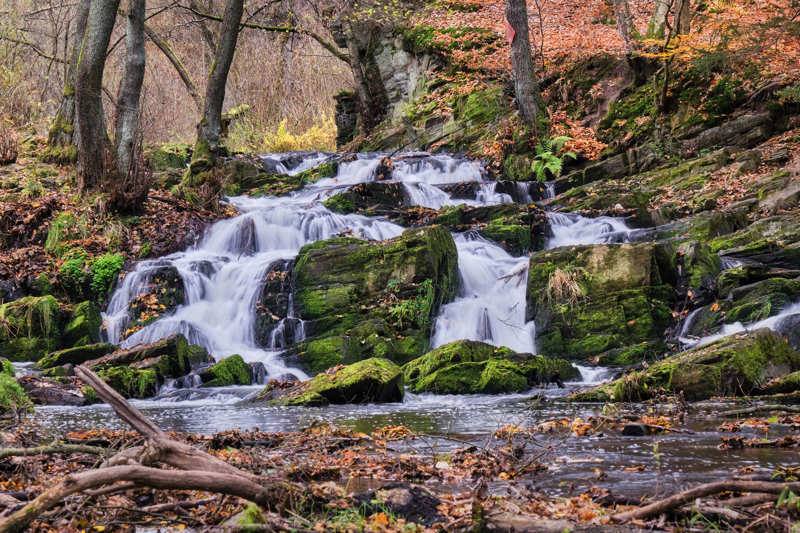 Selkefall | Harz