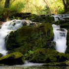 Selkefall // Harz