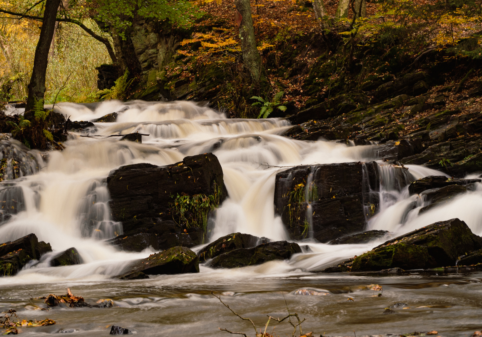 Selkefall im Harz