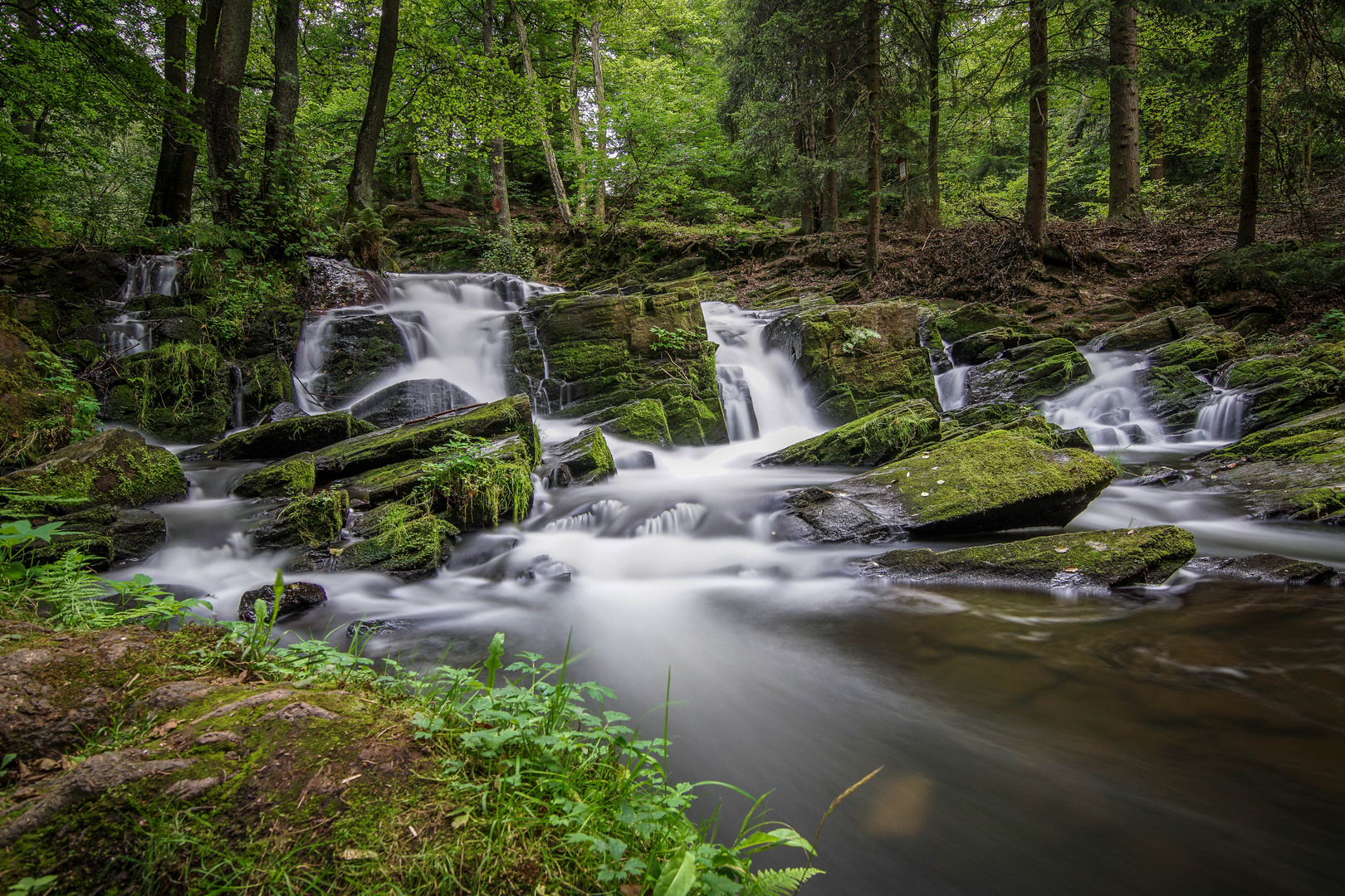 Selkefall im Harz