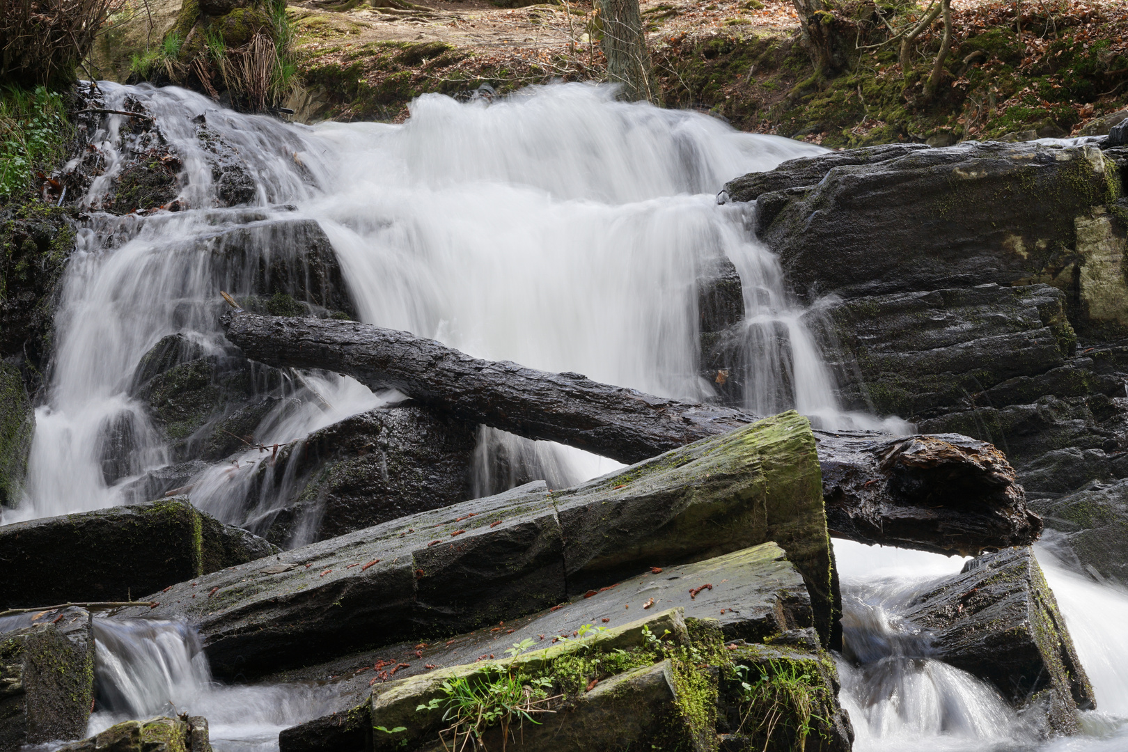 Selkefall im Harz