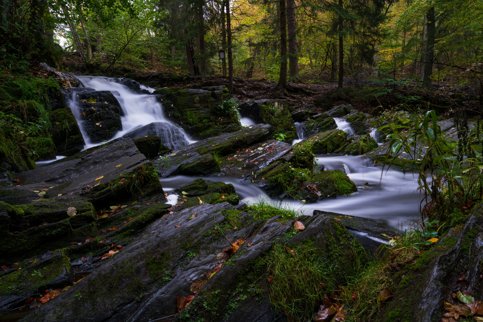 Selkefall im Herbst (2)