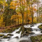 Selkefall im Herbst 2