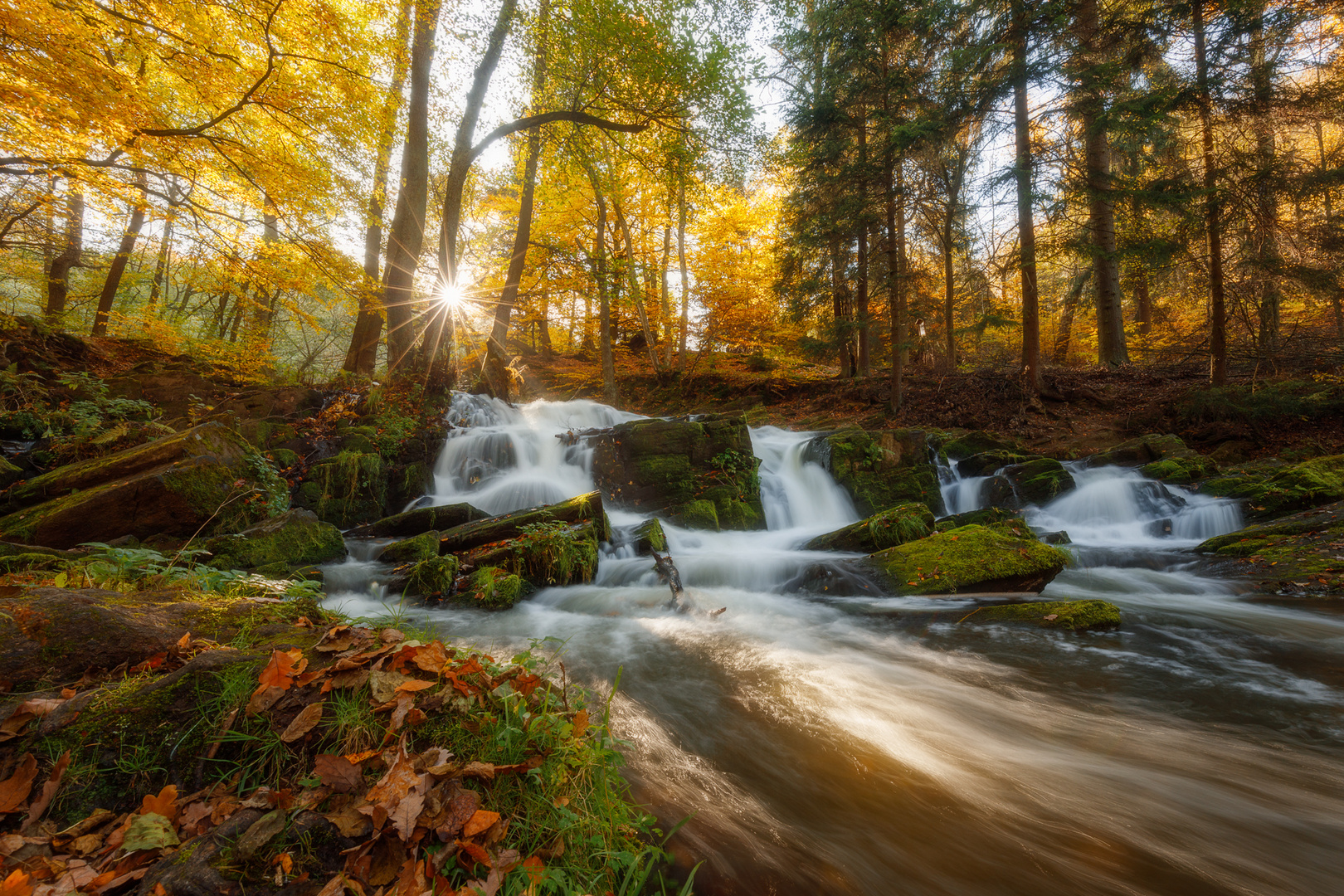 Selkefall im Herbst