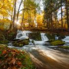 Selkefall im Herbst