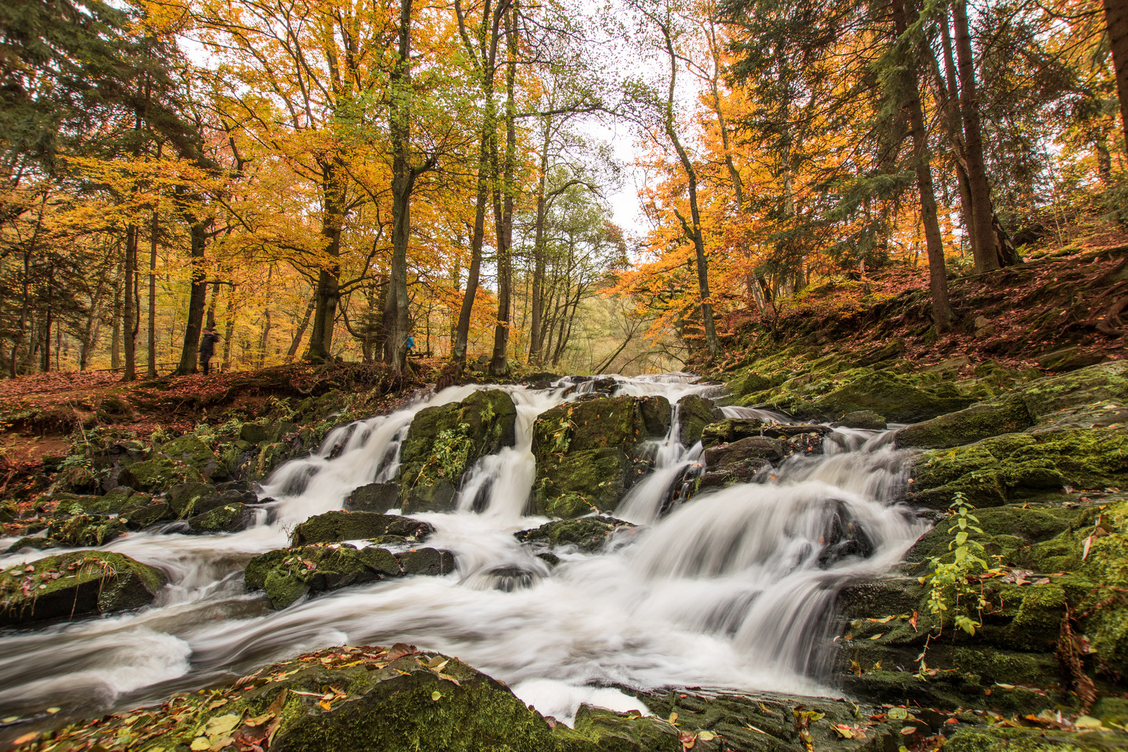 Selkefall im Herbst