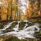 Selkefall im Herbst